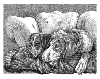 "This Must Be The Place" - Talking Heads Lyrics - Dog Portrait Drawing